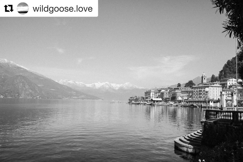 Atim70's tweet photo. #comolakewedding #bellagiowedding #villamelzideril #giardinivillamelzi #engagementphotographeritaly #wildgoose #wildgooseweddings #destinationweddinglakecomo #wedmagazine #destinationweddingplanner #milanwedding #weddingsmilan #visitbellagio #visitcomolake #engagementcomolake https://t.co/ZE3KdgHQst