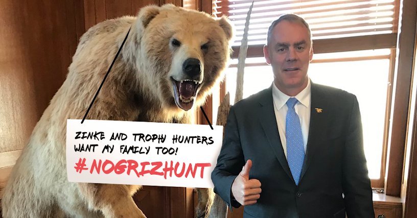 LindaBerry7272's tweet photo. Only 3 weeks until WY and ID's grizzly trophy hunts are scheduled to start. A friend has a message for you direct from @SecretaryZinke’s office -- spread the word, then take action to stop the hunt! https://t.co/4ScqVQHDRa   #nogrizhunt https://t.co/d4lfeac7XB