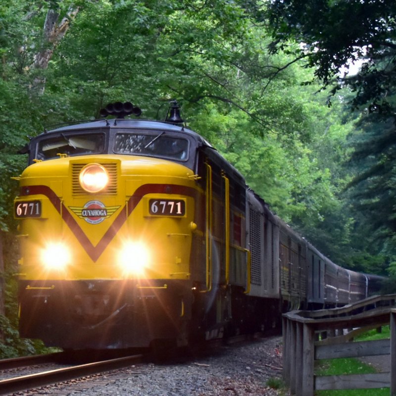 Have you heard? Kids ride FREE the entire month of August on our National Park Scenic coach excursion! #RideCVSR ow.ly/fImK30liKZi