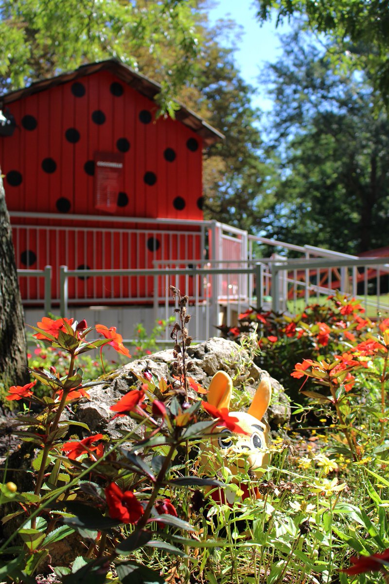 Walibi Sud-Ouest tweet media