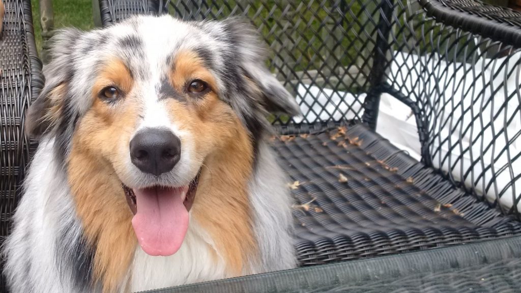 PromationN's tweet image. Our very own David Johnston, Bruce Conning and the adorable Wizard (photographed) represented Promation in Wasaga Beach for the First Annual Heroes Festival.

Click the link below to continue reading the blog.

#firstresponders #heroesfestival #familyfun 

lnkd.in/dMxUNf9