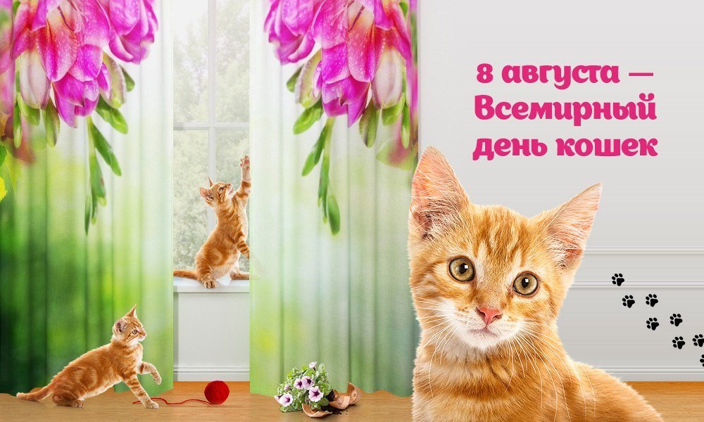 Картинки с праздником кошек, анимация