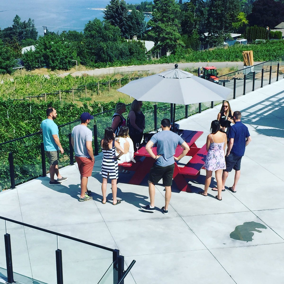 wickedwinetours's tweet photo. Private #sabring experience at @summerhillwine on our #lakeshoreroute tour. Chop the top off a bottle of #sparkling with a sword! π‘πΎπ₯
.
.
.
#exploreBC #exploreKelowna #BCwine #winetours #getwicked #sabringchampagne #champagne #organicwine #biodynamic https://t.co/BfuurjLj4d