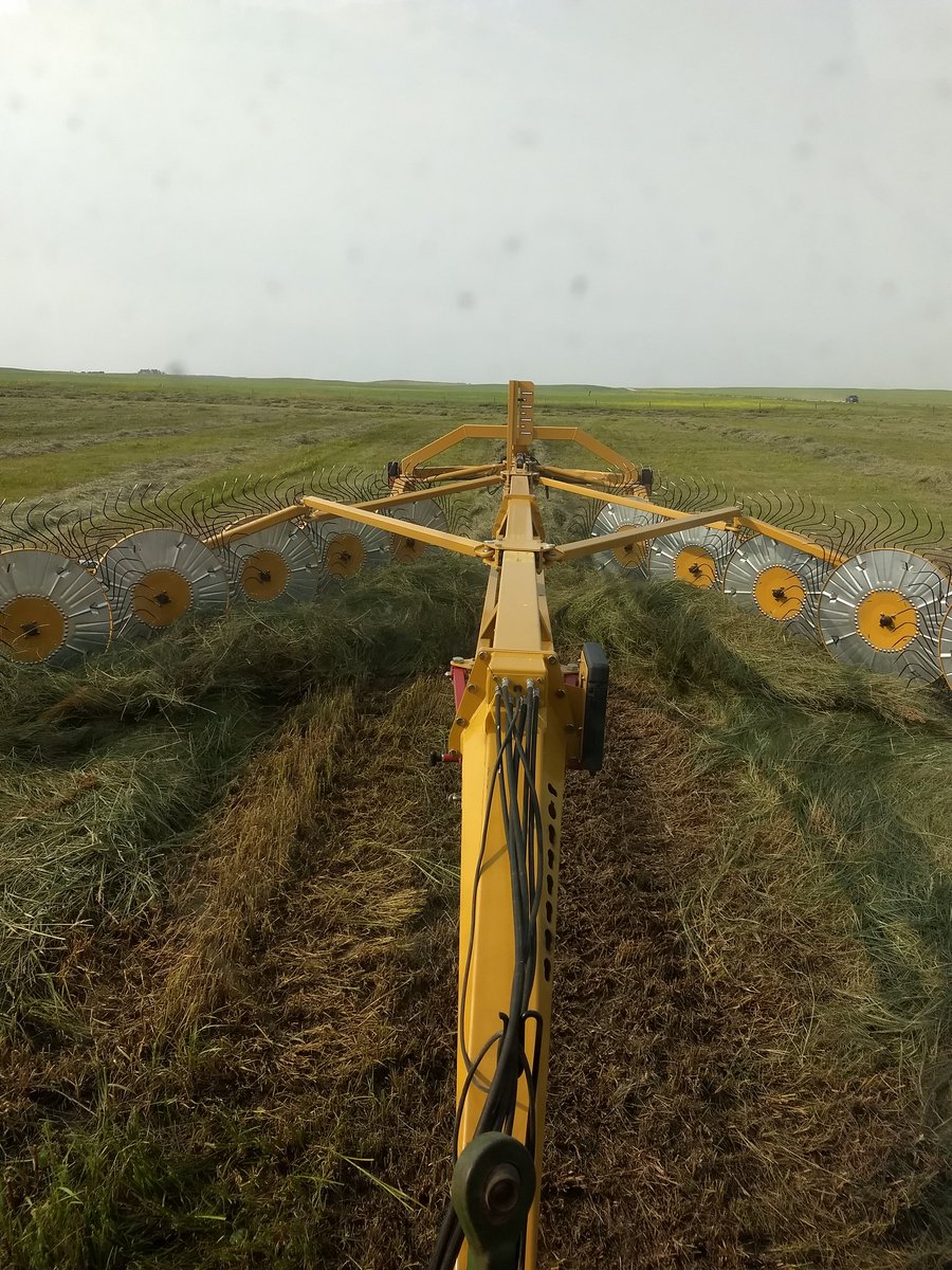 dontbeahosereh's tweet image. The end is in sight