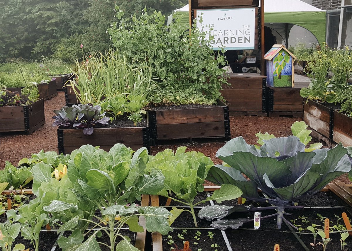 Embark On Twitter Passionate About Sustainable Food Production