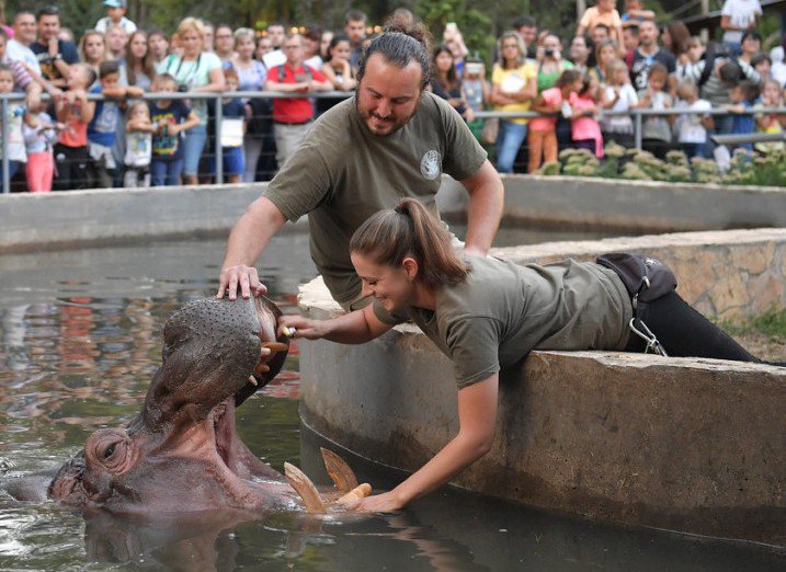 InformatiaD's tweet image. oradeb.ro/main/vrei-sa-v…