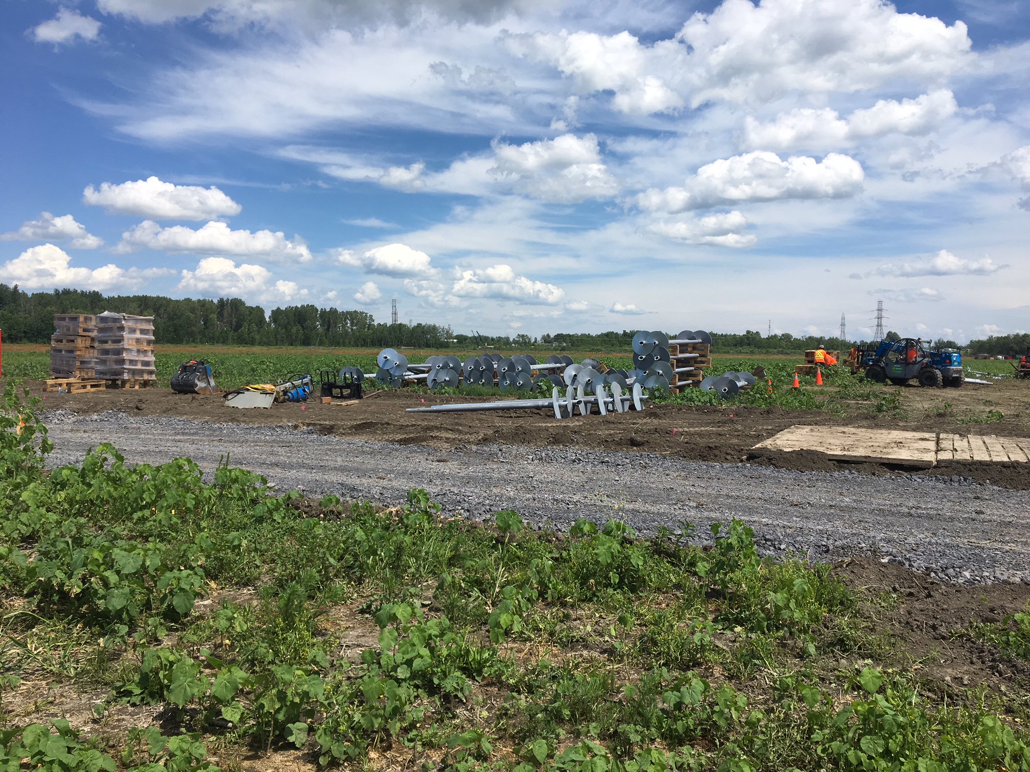 shawn (shawn_winters) / Twitter