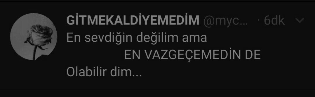 myceren's tweet photo. https://t.co/SepNDZ6QID