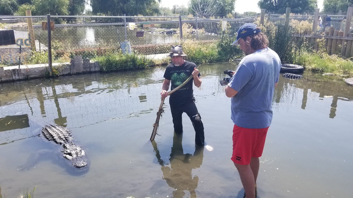 SwaggerjackProd's tweet photo. Filming #JayYoung & #Elvis at #ColoradoGators for our #Sundance #FilmFestival #Documentary.
#Colorado #Alligators
#Swaggerjack Productions https://t.co/zGQq6WiKiC