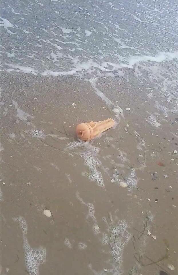 twizzlernips's tweet photo. Hi Google. Just wanted to let you know how happy I am that my mom is doing well. She’s even found time to visit the beach. Good for you, mom!  #squeezethebigends https://t.co/Oh8hsdfCTk