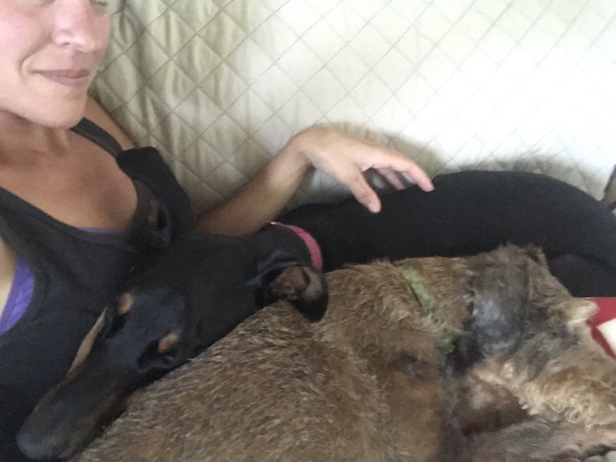 AnjieCaff50's tweet photo. Current situation. #tryingtonap #nonapforme https://t.co/mbnbZQvDcu
