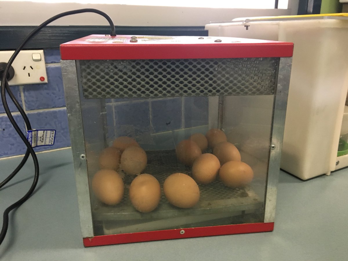 Ian Casey tweet media