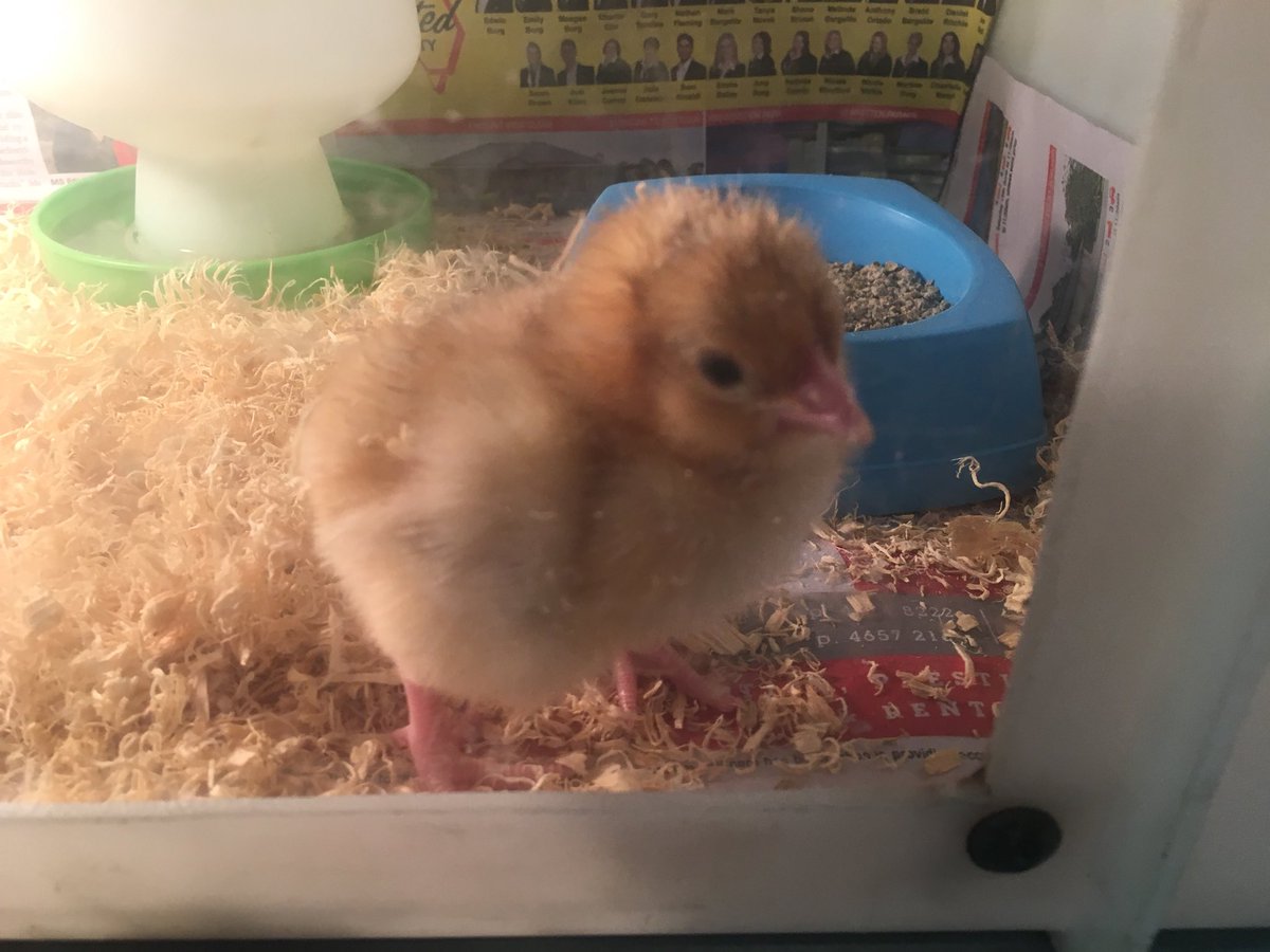 Ian Casey tweet media