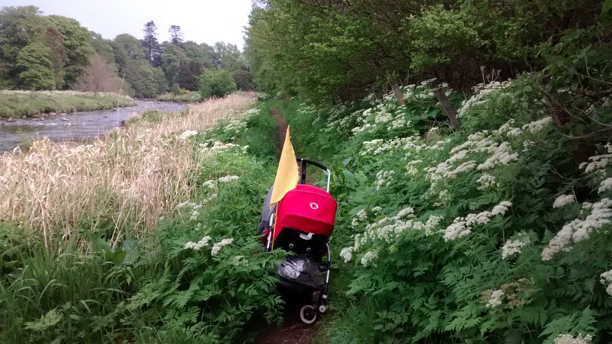 ClareQualmann's tweet image. Super excited to be heading to NYC in September to take part in S.T.E.P @flux_factory I'll be leading a #Perambulator walk &amp;amp; exhibiting photos from my @DeveronProjects residency in 2014. More deets soon!