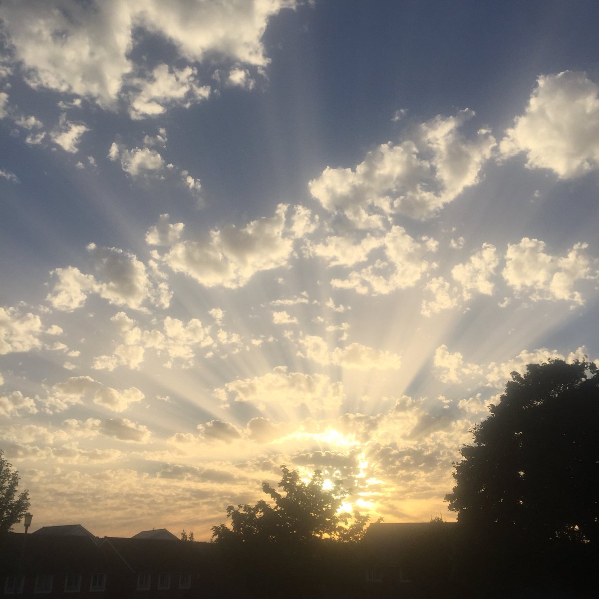 MorgannWatts's tweet photo. 🌤🌤 https://t.co/QqgR56YPdx
