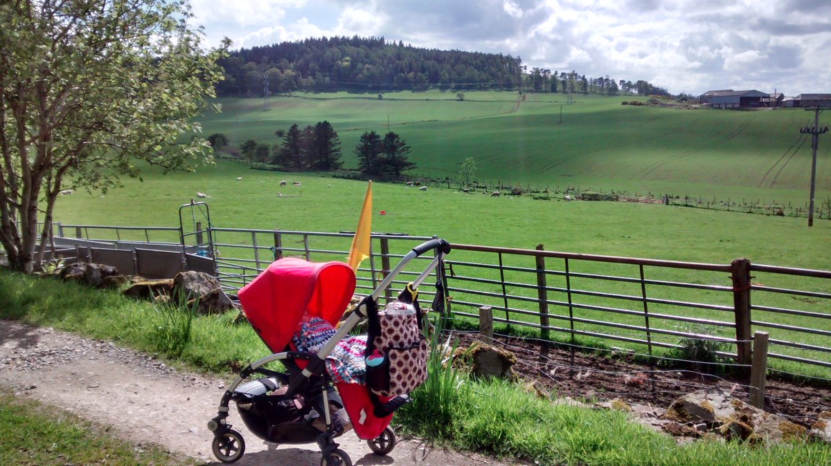 ClareQualmann's tweet image. Super excited to be heading to NYC in September to take part in S.T.E.P @flux_factory I'll be leading a #Perambulator walk &amp;amp; exhibiting photos from my @DeveronProjects residency in 2014. More deets soon!