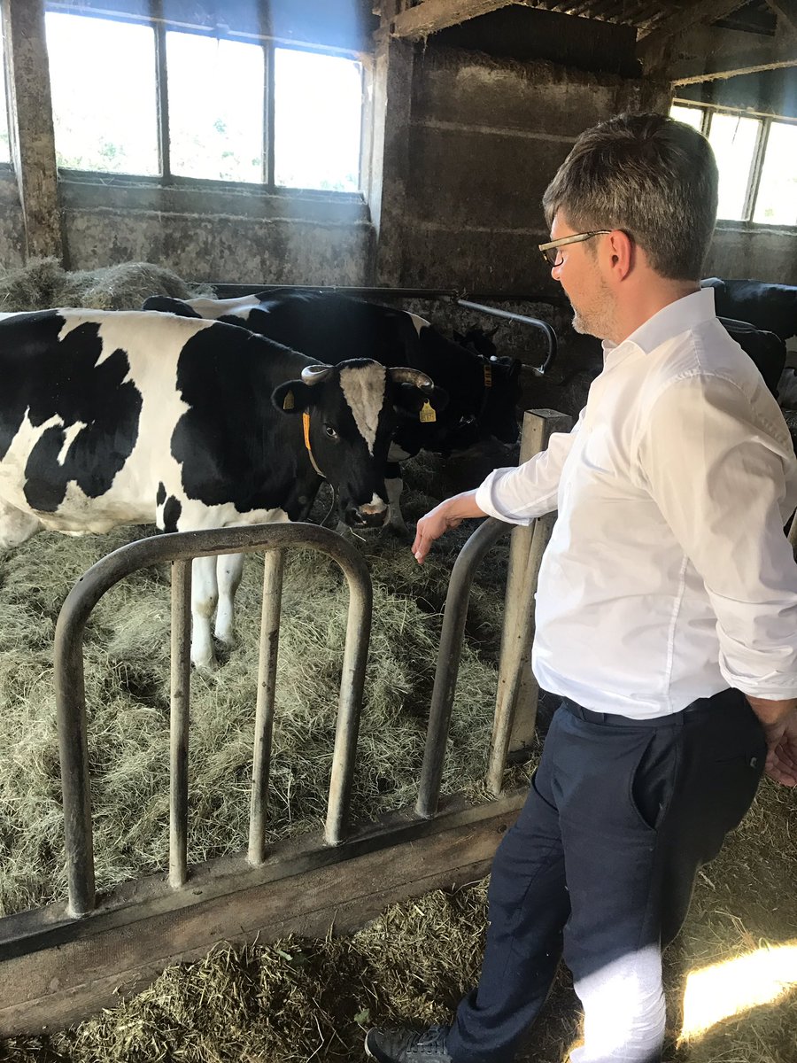 Dirk_Behrendt's tweet photo. Tag 2 der #Landpartie zeigt: Wir müssen die Landwirtschaft wegen des Klimawandels umstellen. Es gibt tolle, engagierte Ökobauern, die #Berlin versorgen (wollen). Viel zu tun. Hier Kühe in #Pretschen. https://t.co/nOPbGu1LCk