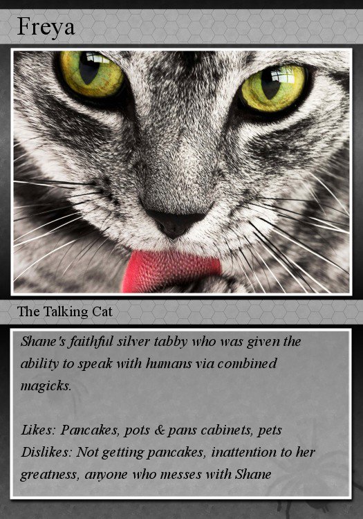 Summer Kiska tweet media