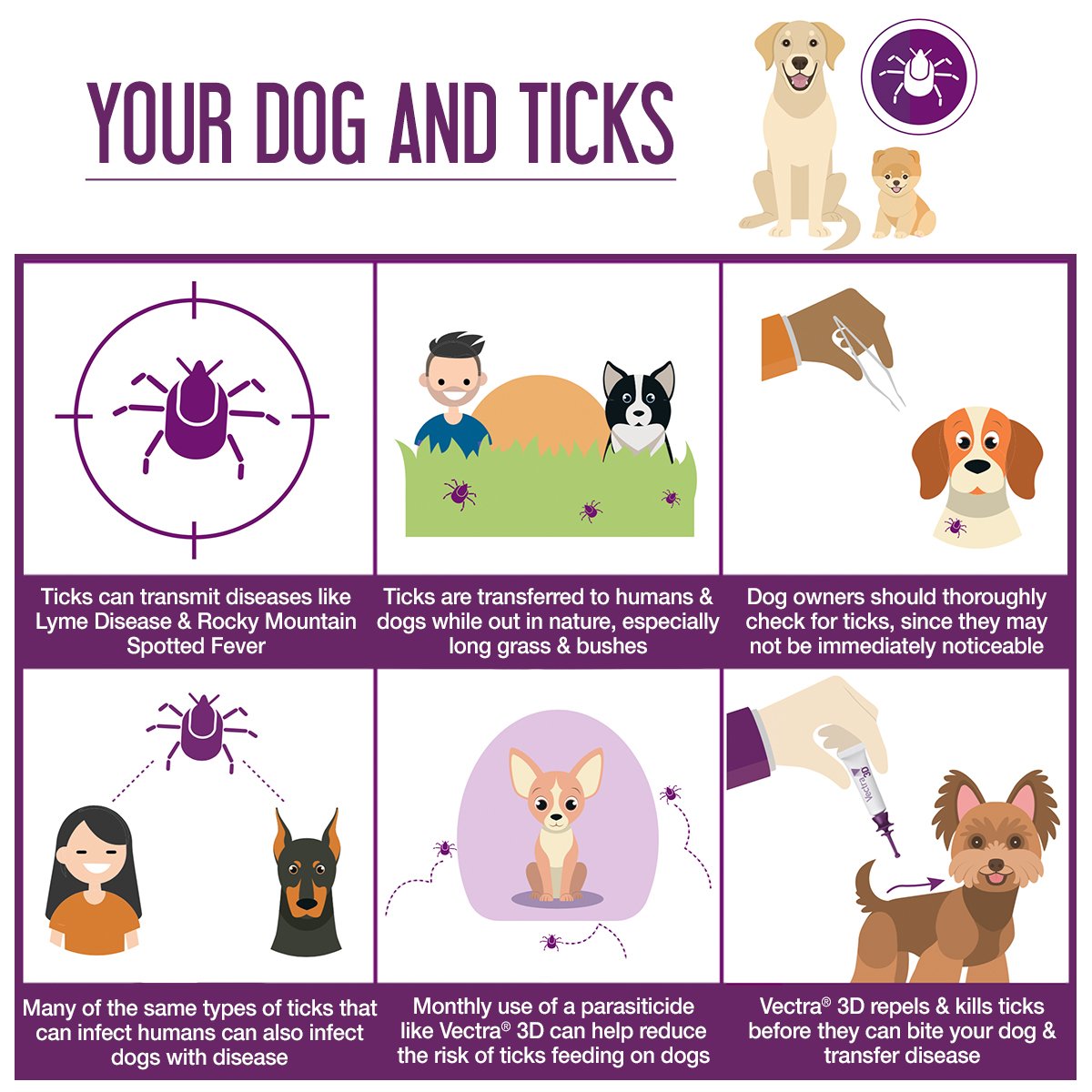 You Love Your Pet tweet media