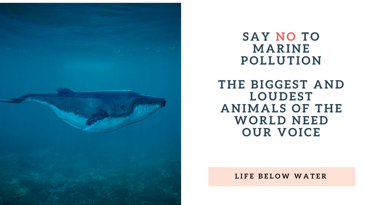 <a href="/MimansaBhardwa2/">Mimansa Bhardwaj</a> 
<a href="/jbhagwagar/">Jamshed Bhagwagar 🇮🇳</a> 
<a href="/SDGSociety/">SDG Society</a> 
<a href="/kuldeepDL/">Kuldeep Kumar</a>