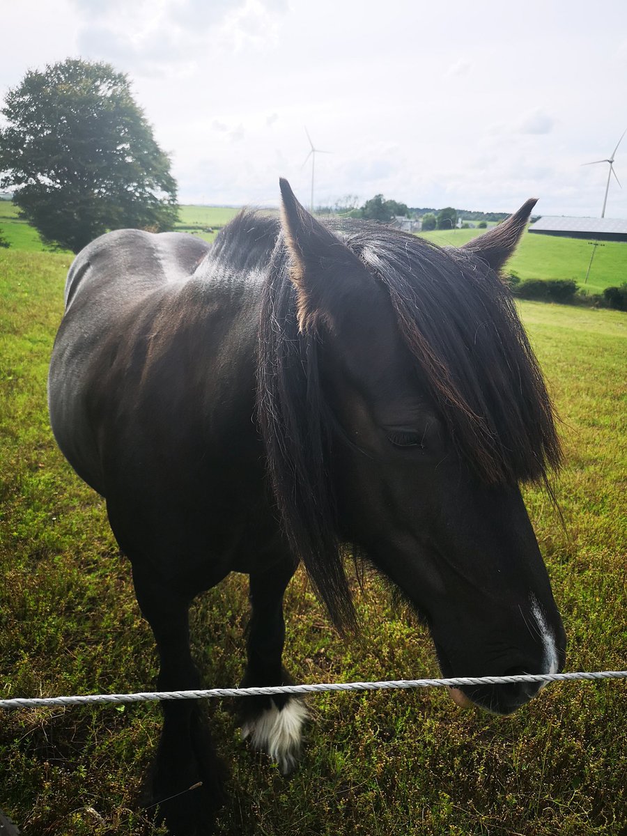 SMacGal's tweet image. @CLUTHA2018 #CAP18 Tuesday
Audience are very engaging. Lunchtime view of the site. Yes, we stop for lunch.