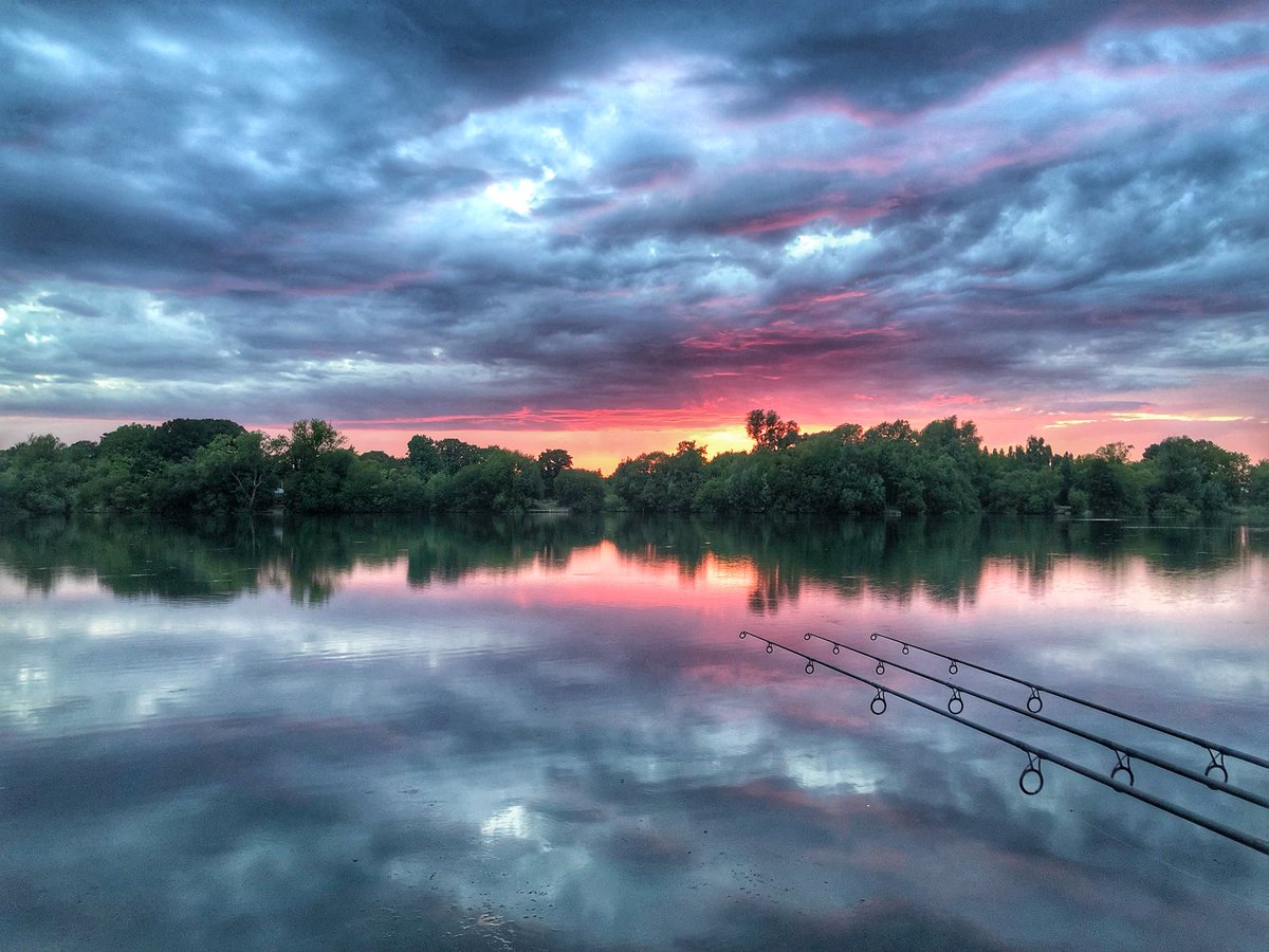 DaveLevy73's tweet image. 😍