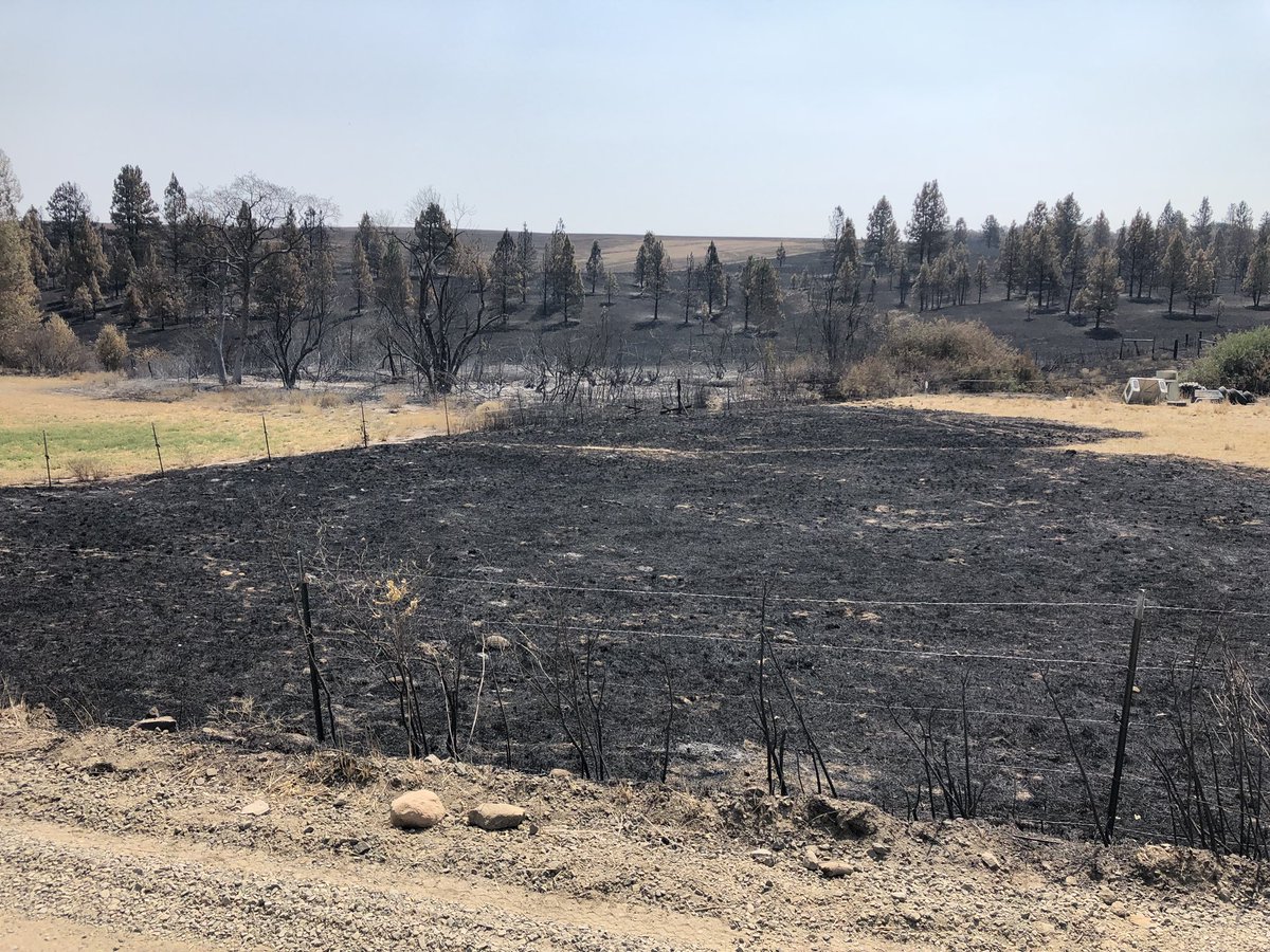 Daniel Bonham tweet media