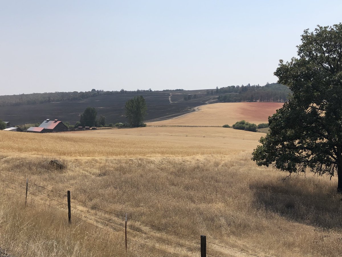 Daniel Bonham tweet media