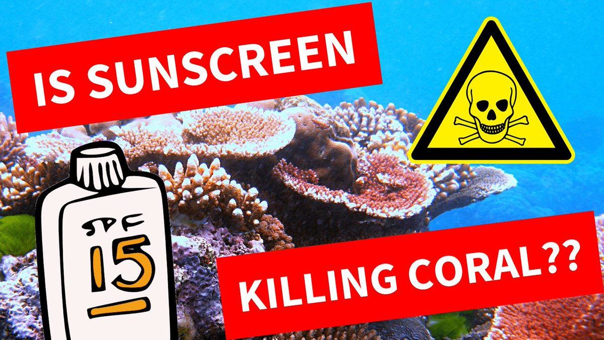 skincarisma's tweet photo. Is Your Sunscreen Killing Coral? The Science (with Video) https://t.co/ULutlk8ZW1 via @LabMuffin https://t.co/3TI1LyU3Og