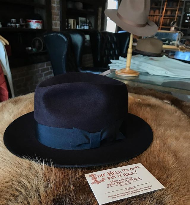 tattonbaird's tweet photo. Hello Blues...
.
#tattonbaird #fedora #classichat #likehellitsyours #semperbiretum https://t.co/Rx4MB8ok0n https://t.co/xw1hlXKqE8