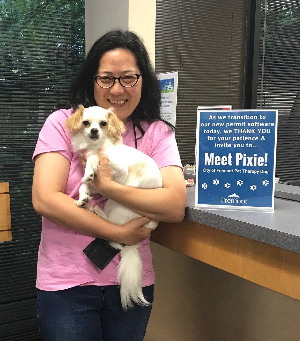 From #rescuedog to #therapydog: Congratulations to Pixie and her handler Julie Sakai, recipients of Assemblymember @KansenChu’s #CommunityHeroAward! Learn more about their City work and volunteering here: bit.ly/2vlGW62