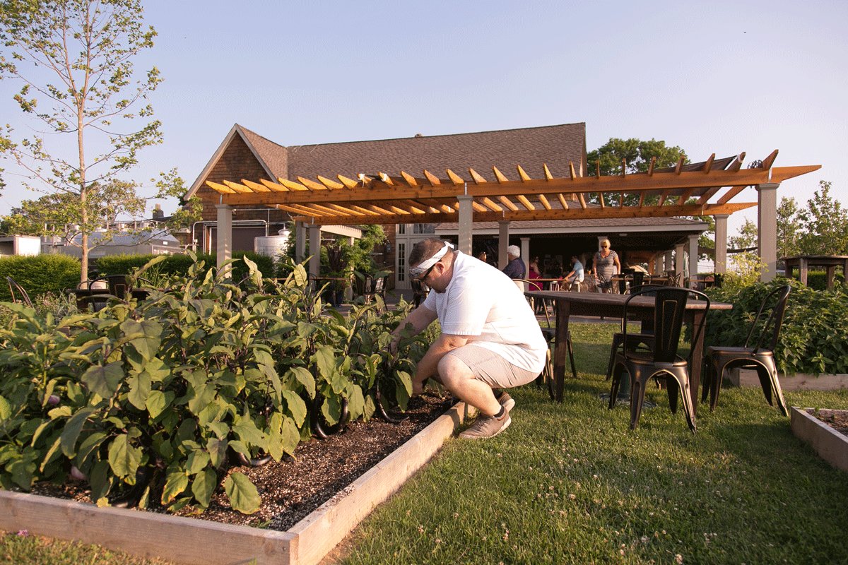 LI Wine Country tweet media