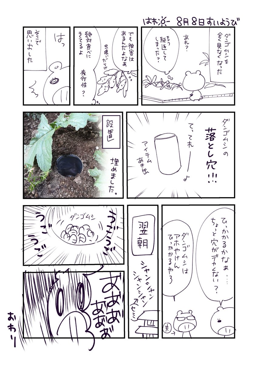 続ダンゴムシがやばい話 