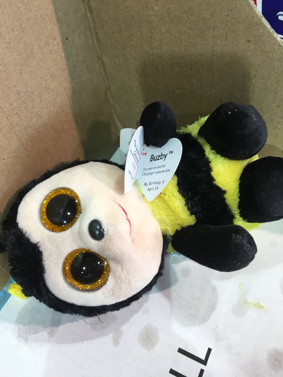 buzby beanie boo birthday