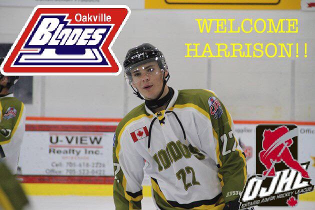 Oakville Blades tweet media