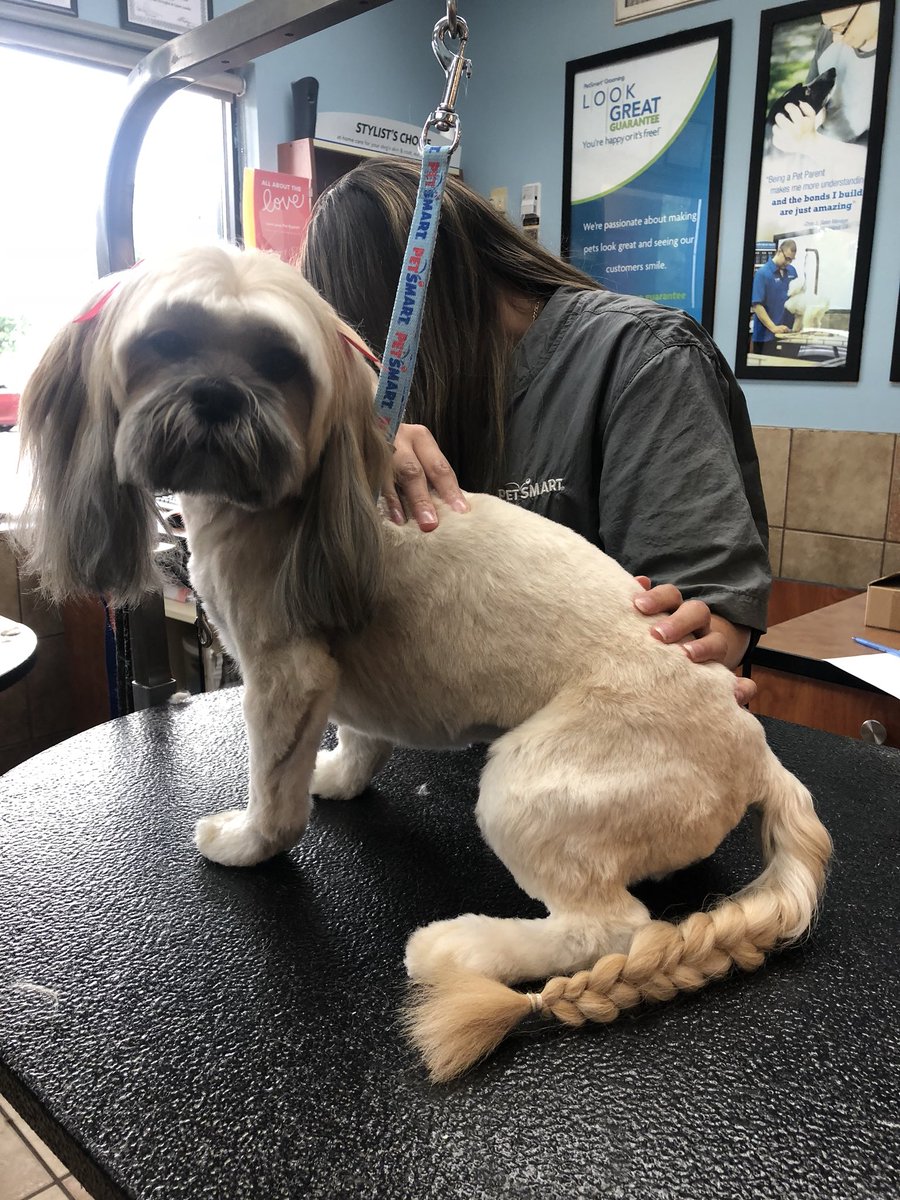 Brickyard Petsmart tweet media