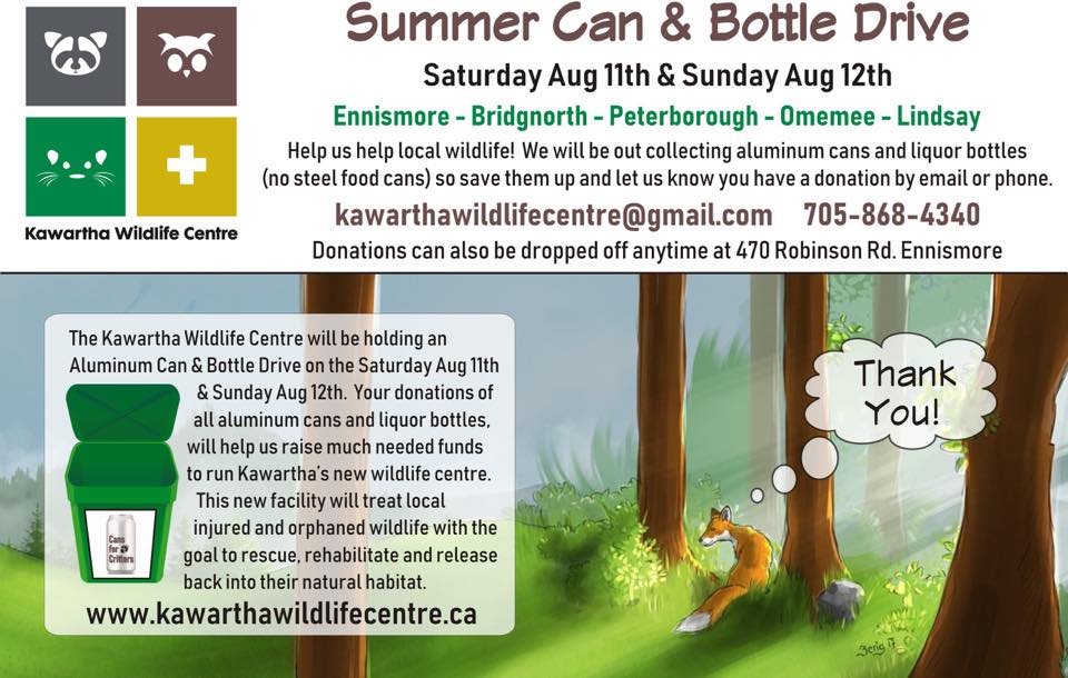 KawarthaWild's tweet photo. Summer can and bottle drive! Start saving your empties to help support the Kawartha Wildlife Centre...@LCBO @thebeerstore #wildliferehab #ontariowildlife #supportontariowildlife https://t.co/upRmdgrtTr