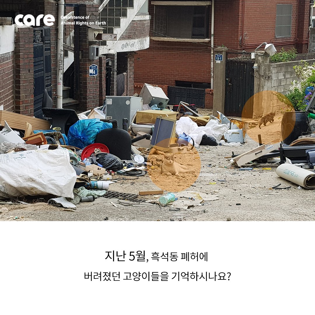 FromCareKorea tweet picture