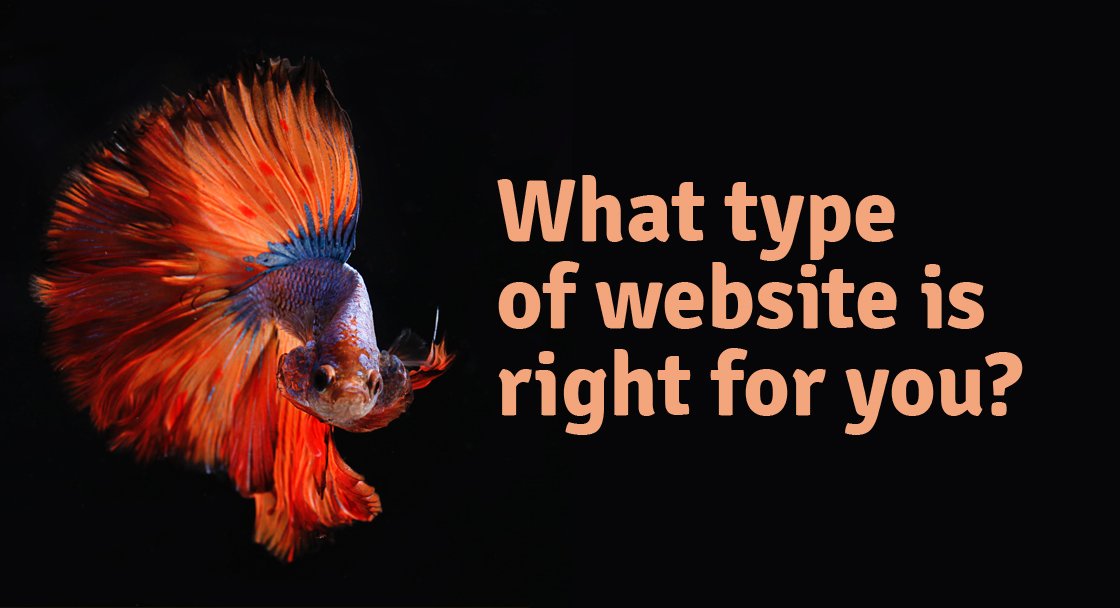 FirstPage Marketing tweet media