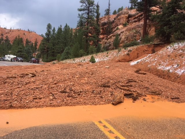 Leanne Locklar tweet media