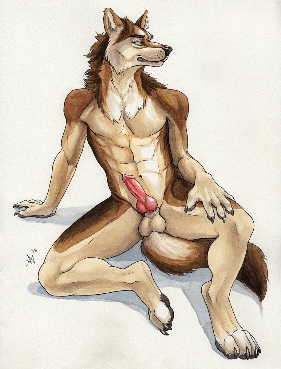 ulos12's tweet photo. 'Anticipation' 
A watercolor commission for Lazywolf :) really like how this one turned out. 
WOOF

#knottyboy #wolf #canine #watercolor #watercolorpainting #painting #furry #furryart #furryTRASH #sheath #werewolf #therewolf #therecastle https://t.co/ffDViB3AhO