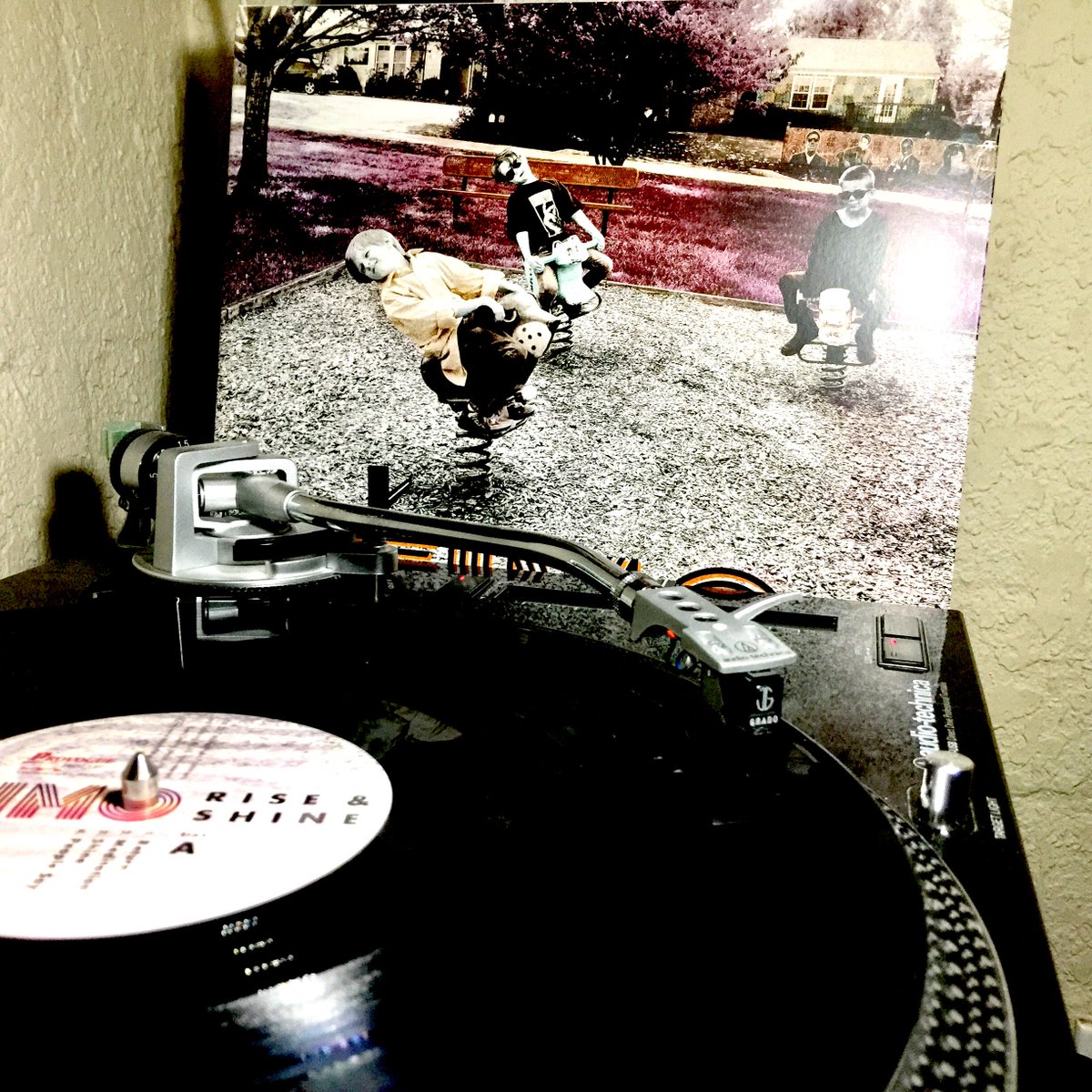 TheeMadPlatter's tweet photo. NP: Simo - Rise &amp; Shine
Listen LIVE via House of Prog 
https://t.co/57rU7qPVTl 
Chat Room Sign up or Sign in 
https://t.co/57rU7qPVTl
#ilovevinyl #vinylfetish #musicsavedme https://t.co/2q9lwaW932
