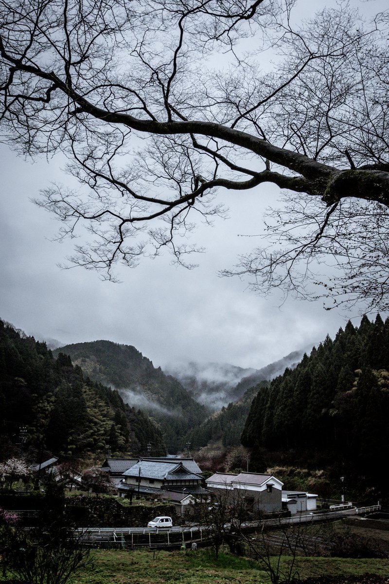 z34__xj's tweet photo. 福井市　西雲寺から

#写真好きな人と繋がりたい 
#キリトリセカイ 
#photo 
#ファインダー越しの私の世界
#東京カメラ部 https://t.co/nPbjiyTt0R