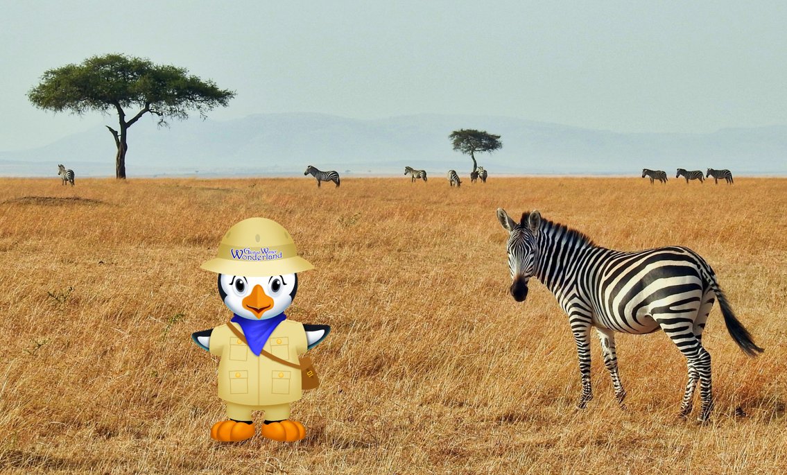 GlobalWonderlnd's tweet photo. #TravelTuesday My adventure of the week takes place on a safari in Africa. Who's been on a safari before? https://t.co/6FPcSTCd31
