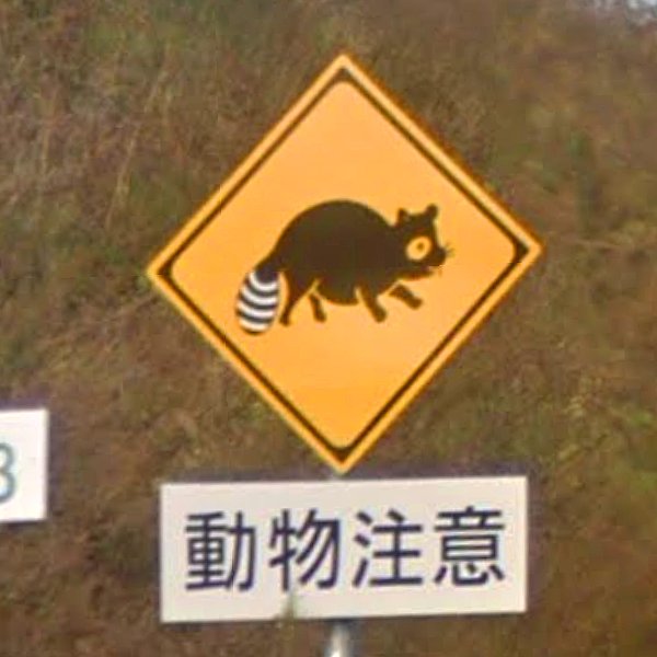 超神ネイガー Oo タヌキかと思ったども わざわざ尻尾を縞模様にしてある こいつはアライグマってことでいいんだべかな へばな 秋田自動車道 日本海沿岸東北自動車道 超神ネイガー Oo タヌキかと思ったども わざわざ尻尾を縞模様にしてある こいつはアライグマってことでいいんだべかな へばな 秋田自動車道 日本海沿岸東北自動車道