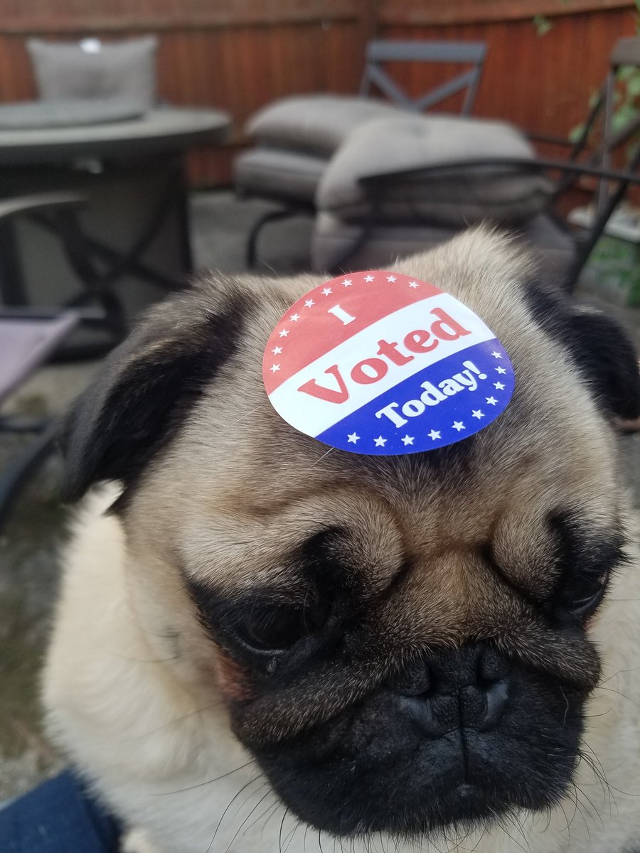 CrispySaund's tweet photo. Voted straight blue today! I hope everyone is having a great primary voting day. We need to get out there show our numbers and start the blue wave!

#BlueWave2018
#IVoted
#Progressives
#BlueWave https://t.co/U7m6GF1Hbi