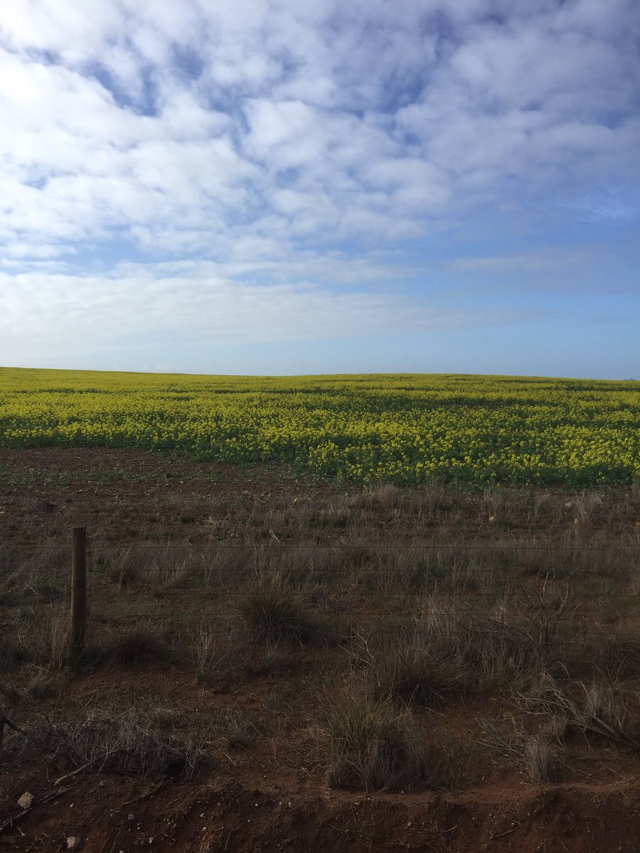 psharris83's tweet photo. Opposite sides of road. Drought or poor management? https://t.co/iiMHdEgMf4