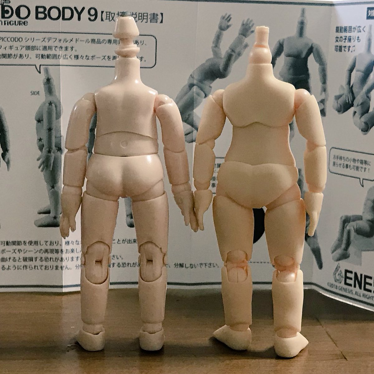 オビツ11と比較してみた。右がピコドーね。 全体的にむっちりしてる