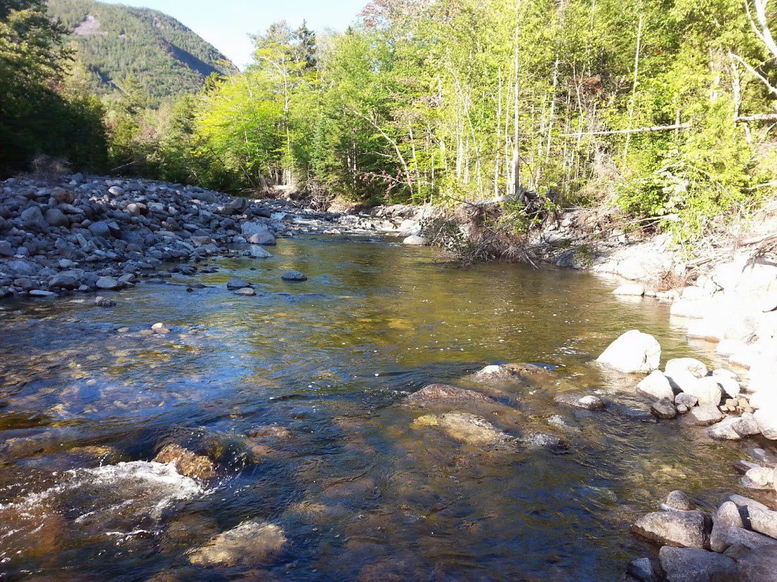 TimberlineHnB's tweet photo. Are you a fan of James Fenimore Cooper? Do his #Leatherstocking Tales about #Hawkeye excite you? That's one more reason to sign up for our #Adirondack #hiking trip set for this fall, then! Many of the stories' events occur in the Adirondacks. https://t.co/AiJRT7eeS6 https://t.co/Tbx3UoAgNa