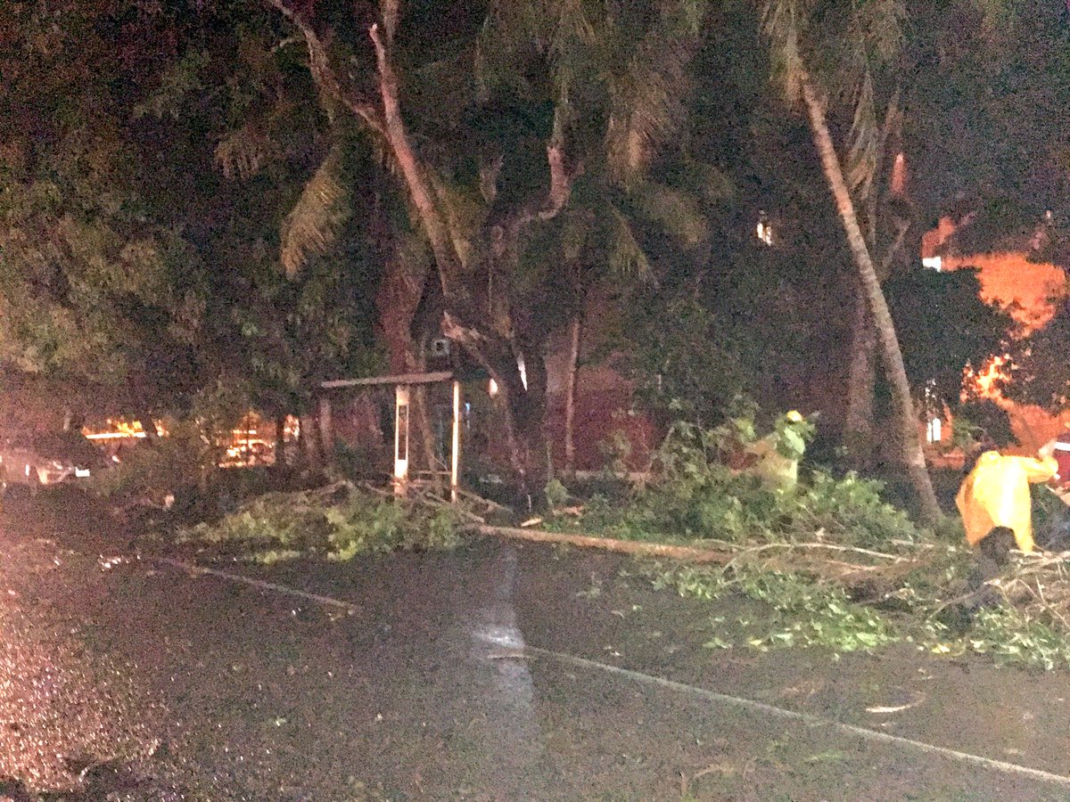 En colaboración a Bomberos de <a href="/ProcivilTabasco/">Protección Civil Tab</a> se retiran ramas de un árbol caído en la av. nueva imagen,no se reportan lesionados ni daños materiales,se cortan y se retira de la zona para mejorar el tráfico vehicular
@casildaruiz8 @UlisesChavezV_ <a href="/antoniojmoscoso/">Antonio Moscoso</a> <a href="/OficialCentro/">Oficial del Centro</a>